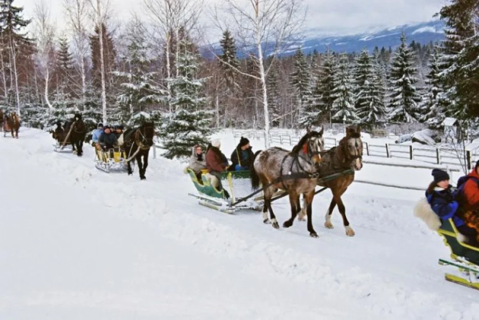 Zdjęcie OW Halny Karpacz wypoczynek doskonały #15