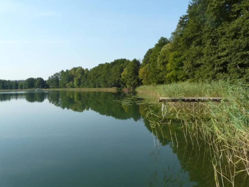 Zdjęcie Dom letniskowy nad jeziorem na ogromnej działce  #7