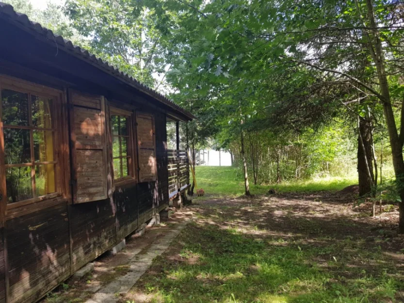 Zdjęcie Dom letniskowy nad jeziorem na ogromnej działce  #31