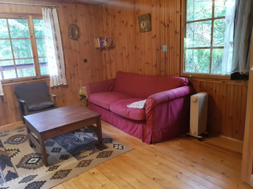 Zdjęcie Dom letniskowy nad jeziorem na ogromnej działce  #43