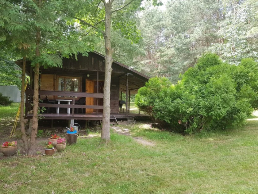 Zdjęcie Dom letniskowy nad jeziorem na ogromnej działce  #3