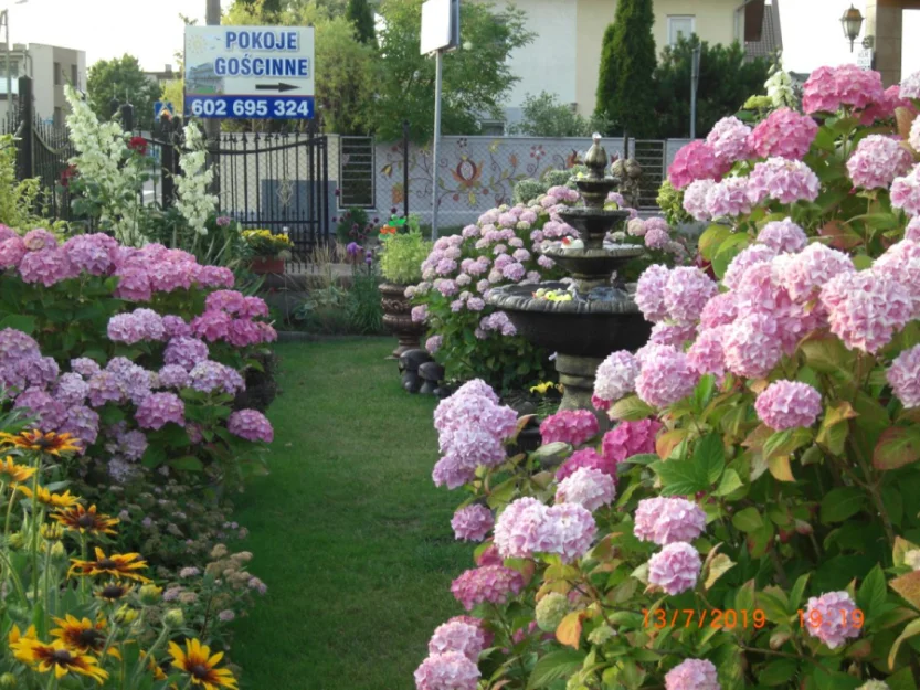 Zdjęcie Pokoje Gościnne Bednarscy #3