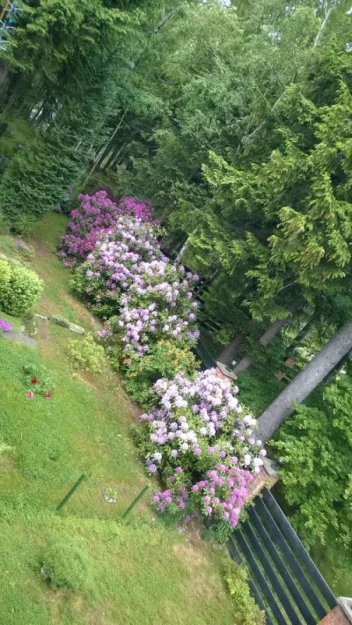 Zdjęcie Apartamenty Olimpijskie #10