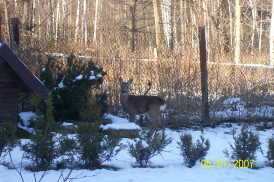 Pokoje u Robsona - Szklarska Poręba