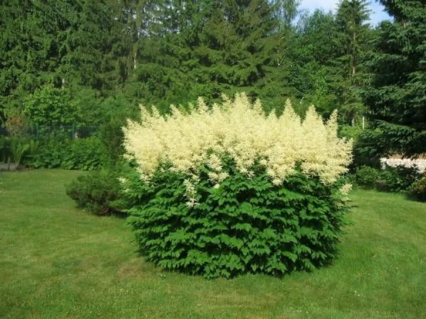 Pokoje Gościnne Zofia Szklarska Poręba