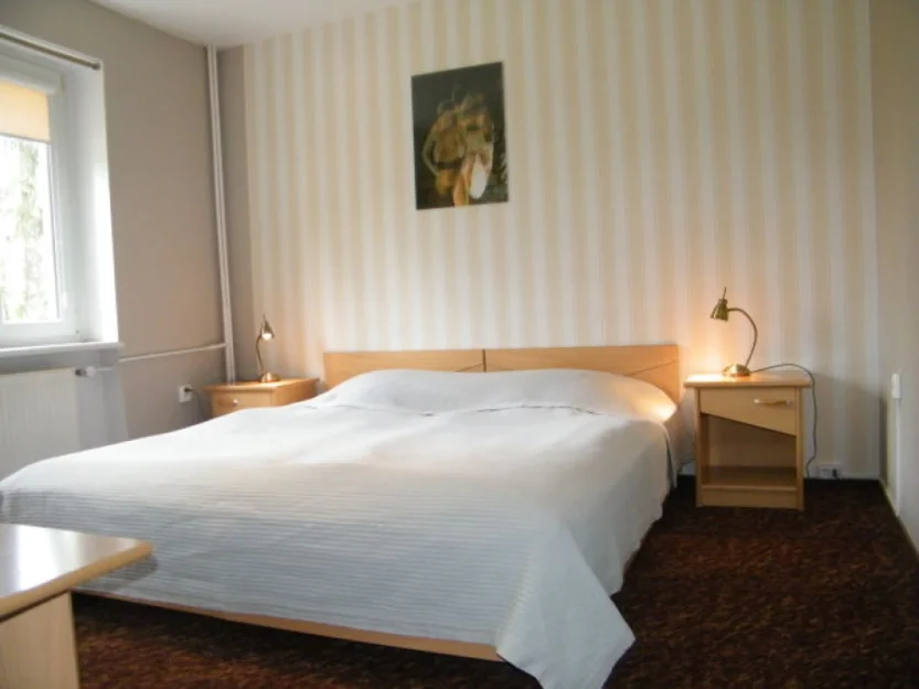 Zdjęcie WILLA ARTE #5