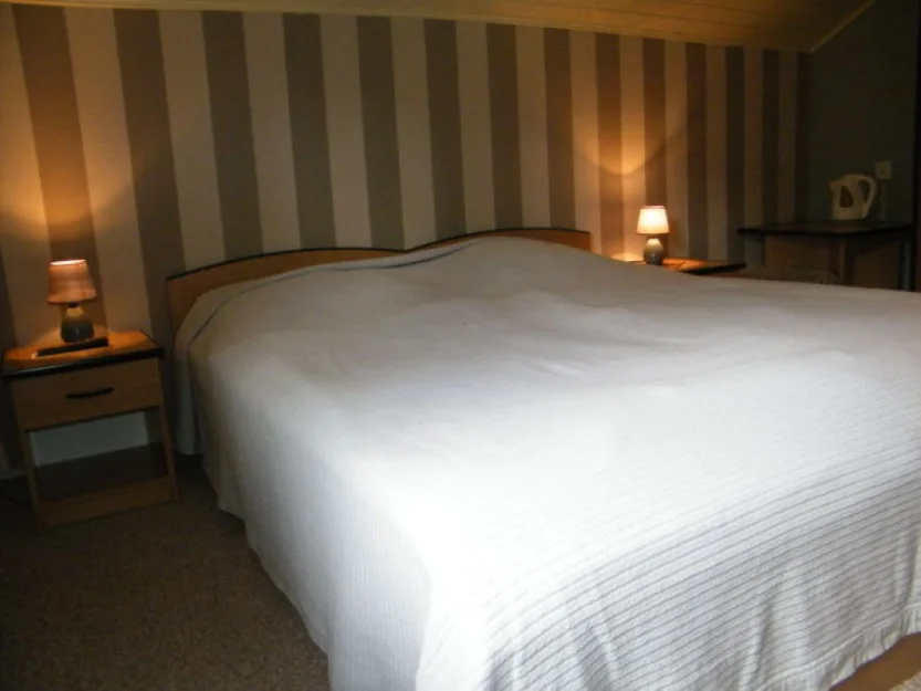 Zdjęcie WILLA ARTE #6