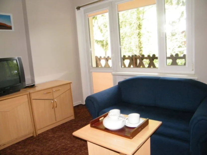 Zdjęcie WILLA ARTE #7