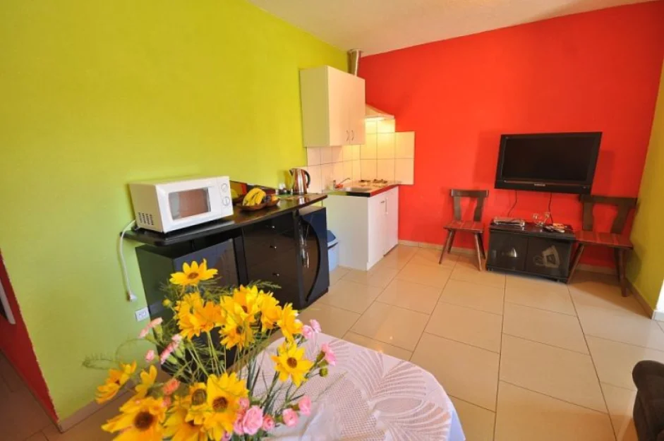 Zdjęcie U WIŚNI #9