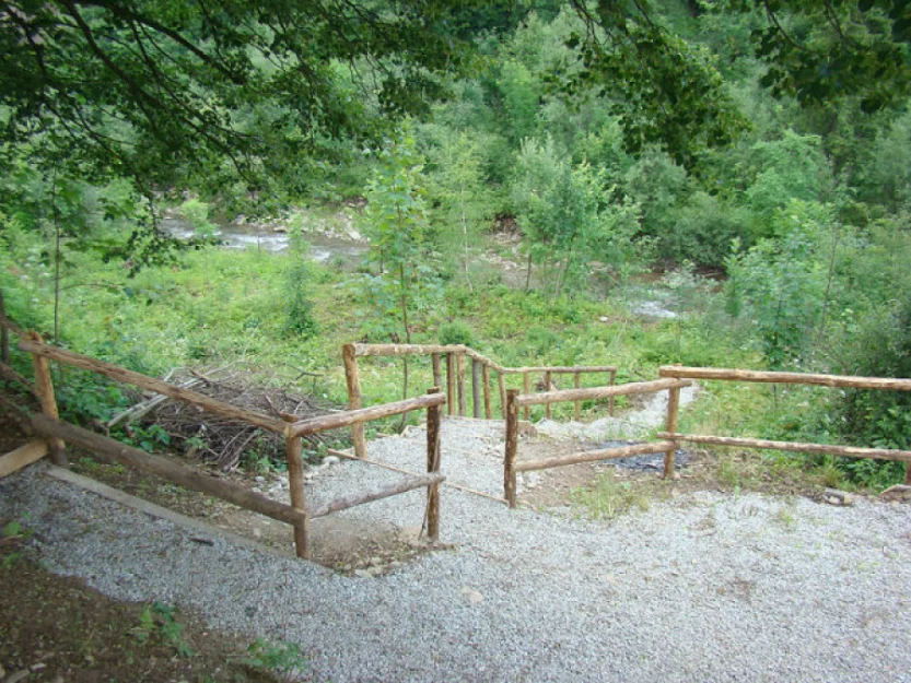 Zdjęcie Apartamenty "Pod Lipami" #13