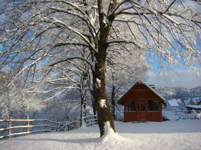 Zdjęcie Apartamenty "Pod Lipami" #15