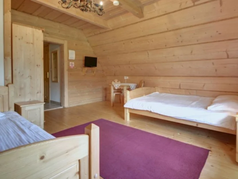 Zdjęcie Willa Płazówka Białczańska #20