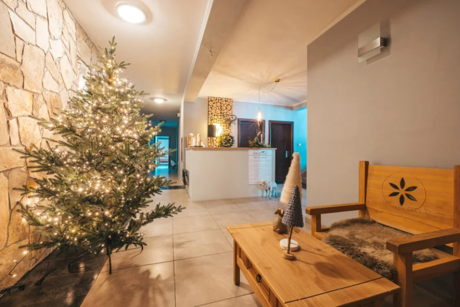 Zdjęcie Bystry Comfort #84