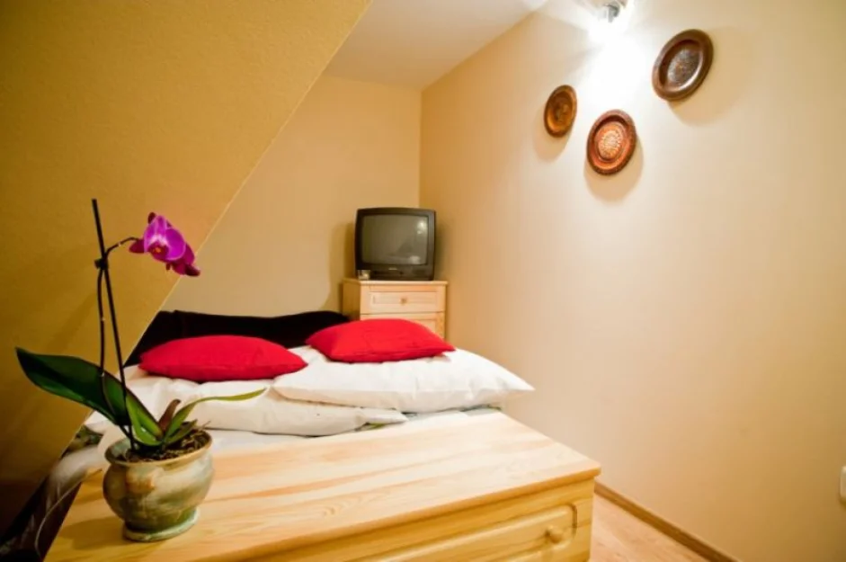 Zdjęcie Willa Giencyno Koncina #23