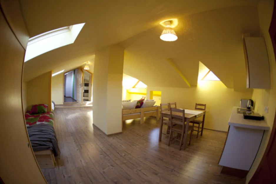 Zdjęcie Willa Zdrój #7