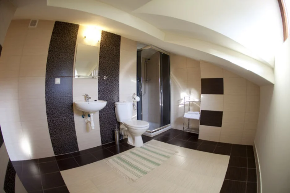 Zdjęcie Willa Zdrój #9