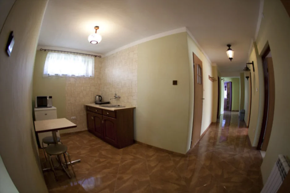 Zdjęcie Willa Zdrój #10