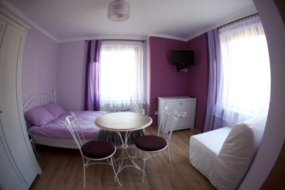 Zdjęcie Willa Zdrój #11