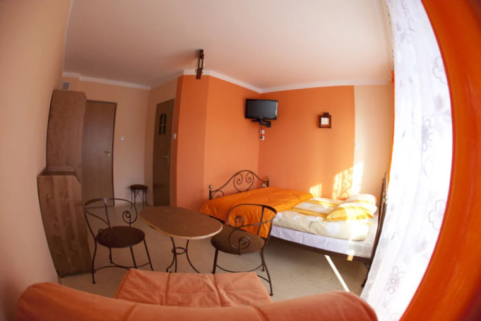 Zdjęcie Willa Zdrój #19