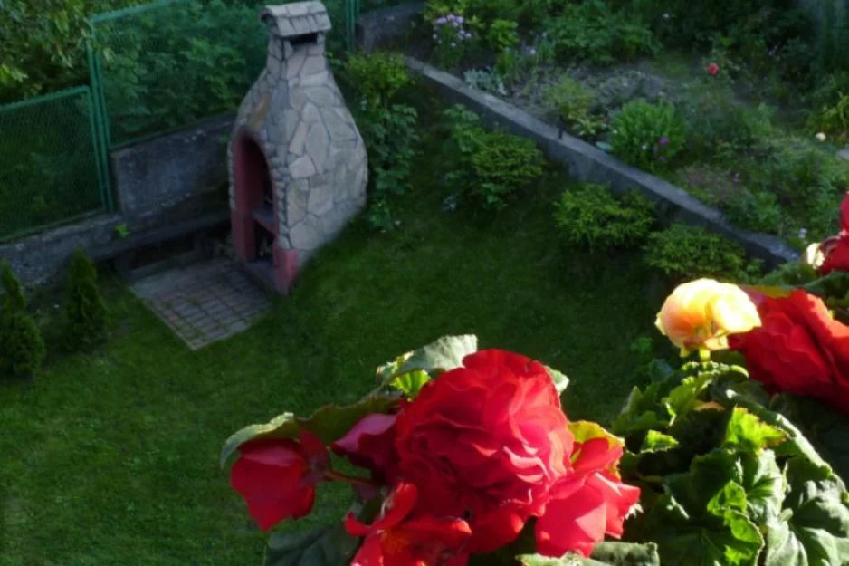 Zdjęcie Willa Aura #6