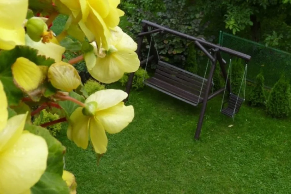 Zdjęcie Willa Aura #7