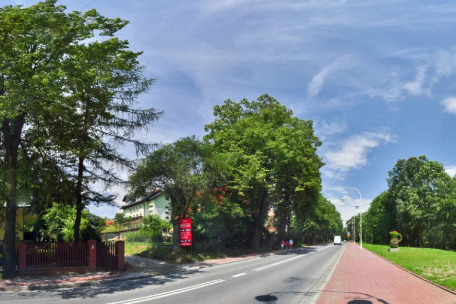 Zdjęcie Willa Sarenka #9