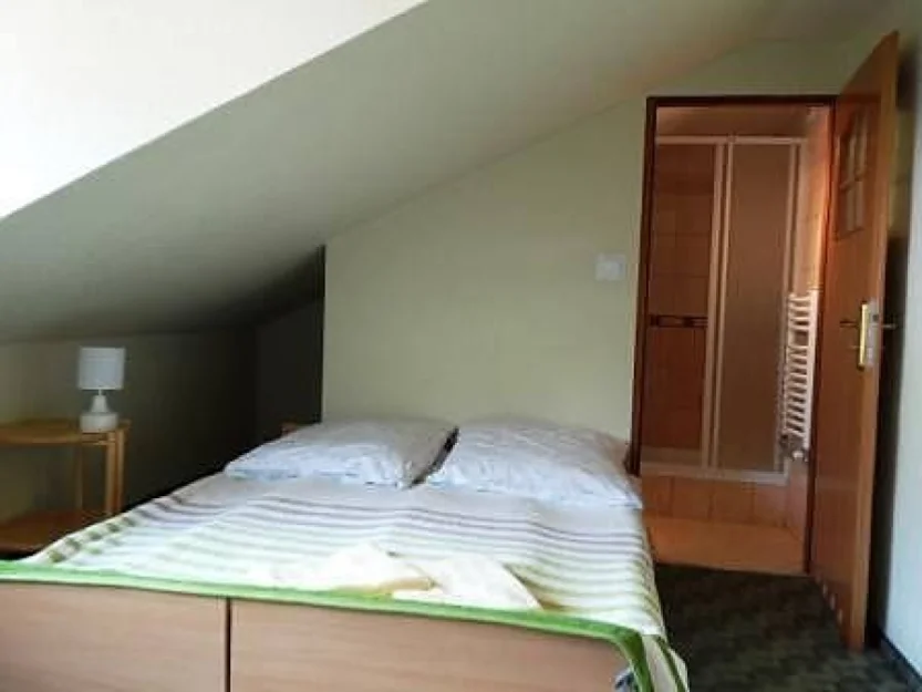 Zdjęcie Willa Słotwinka #5