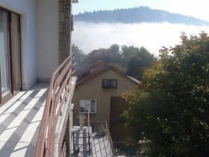 Zdjęcie Willa Arka #9