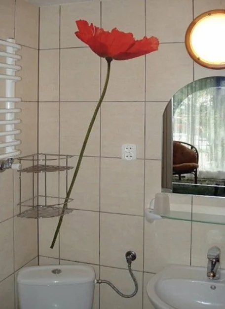 Zdjęcie Willa Arka #18