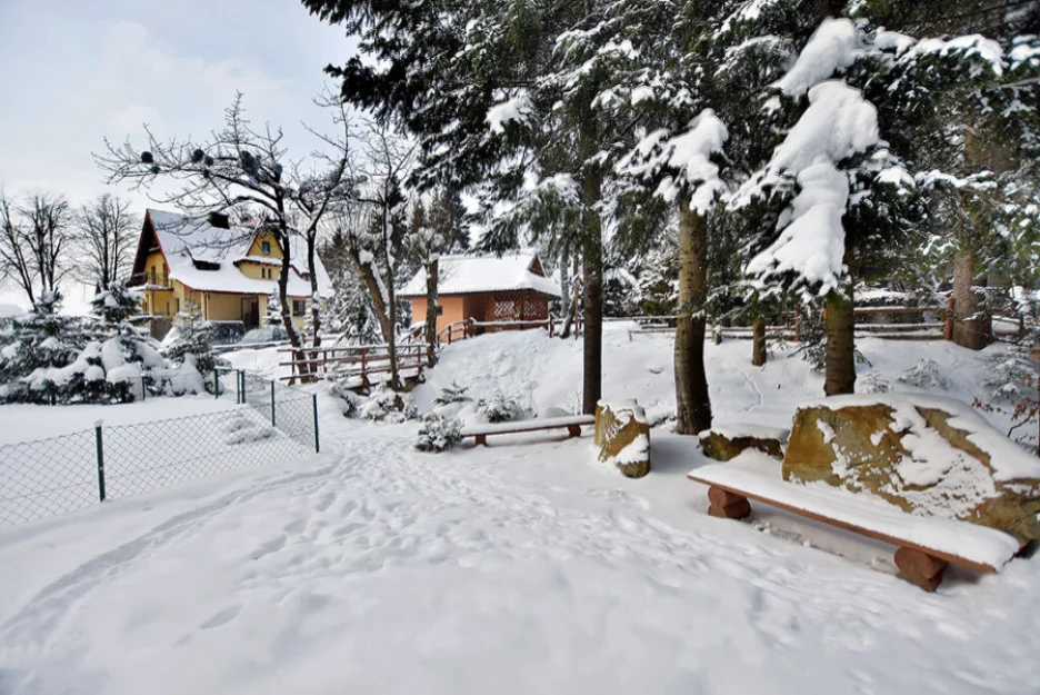 Zdjęcie Prometówka Noclegi z wyżywieniem #41