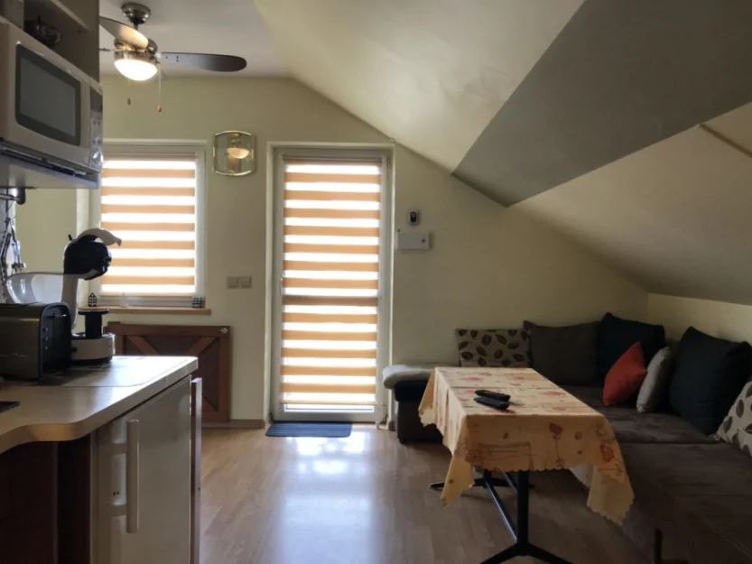 Zdjęcie APARTAMENTY-STUDIO (pobyty rodzinne) #22