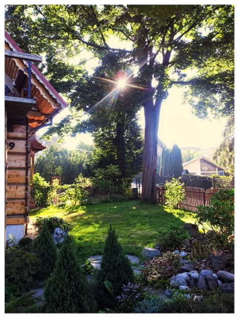 Zdjęcie Willa Szarotka #10