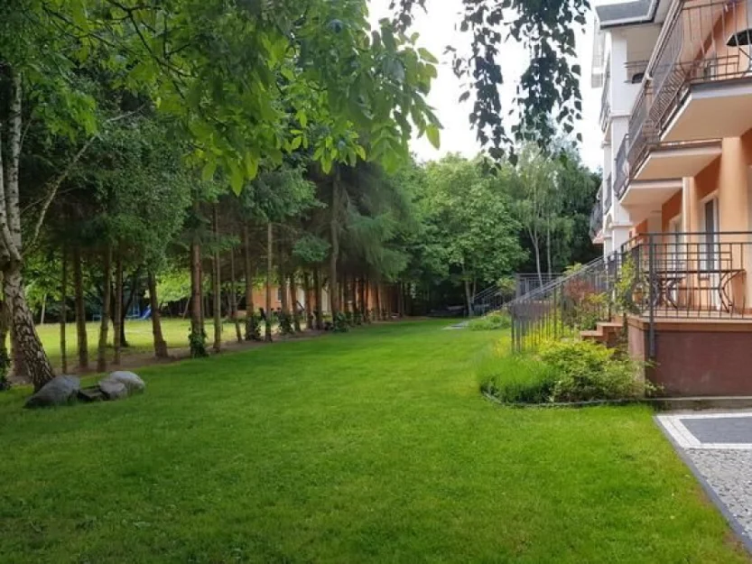 Zdjęcie Sonata Mielenko #8