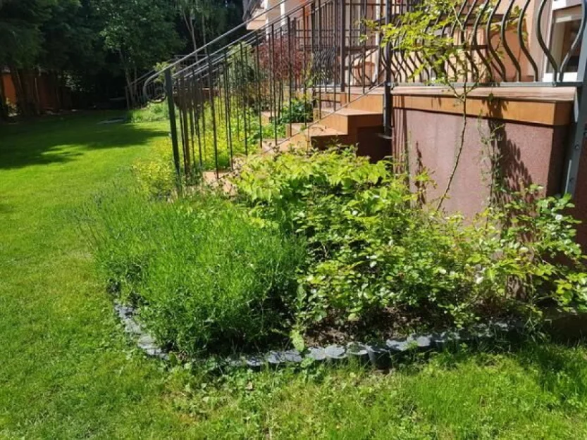 Zdjęcie Sonata Mielenko #10