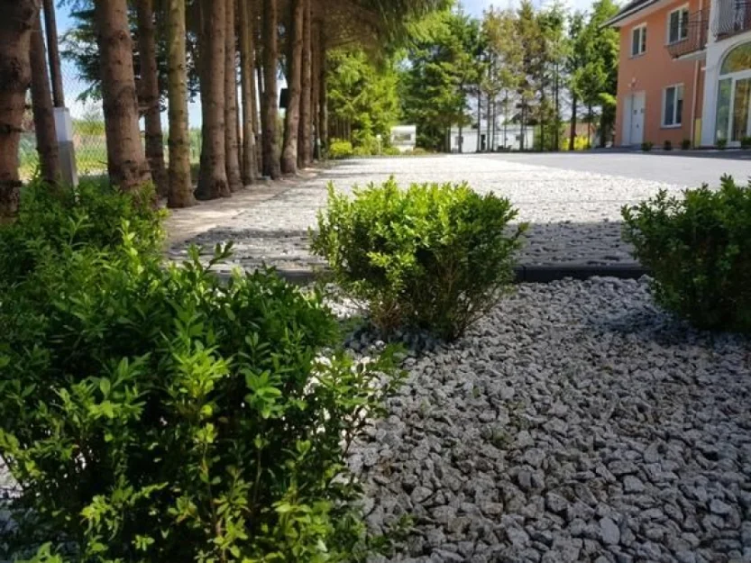 Zdjęcie Sonata Mielenko #25