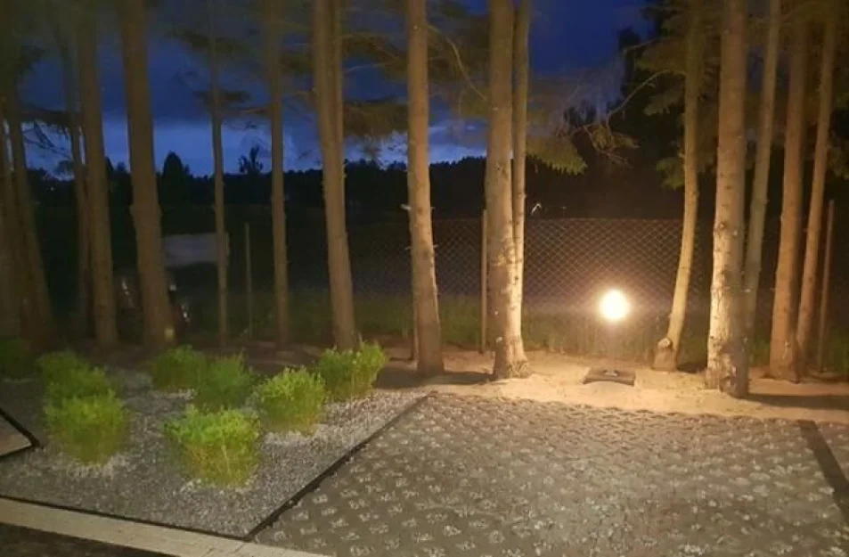 Zdjęcie Sonata Mielenko #31