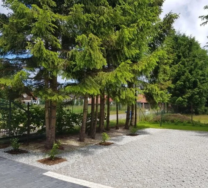 Zdjęcie Sonata Mielenko #36