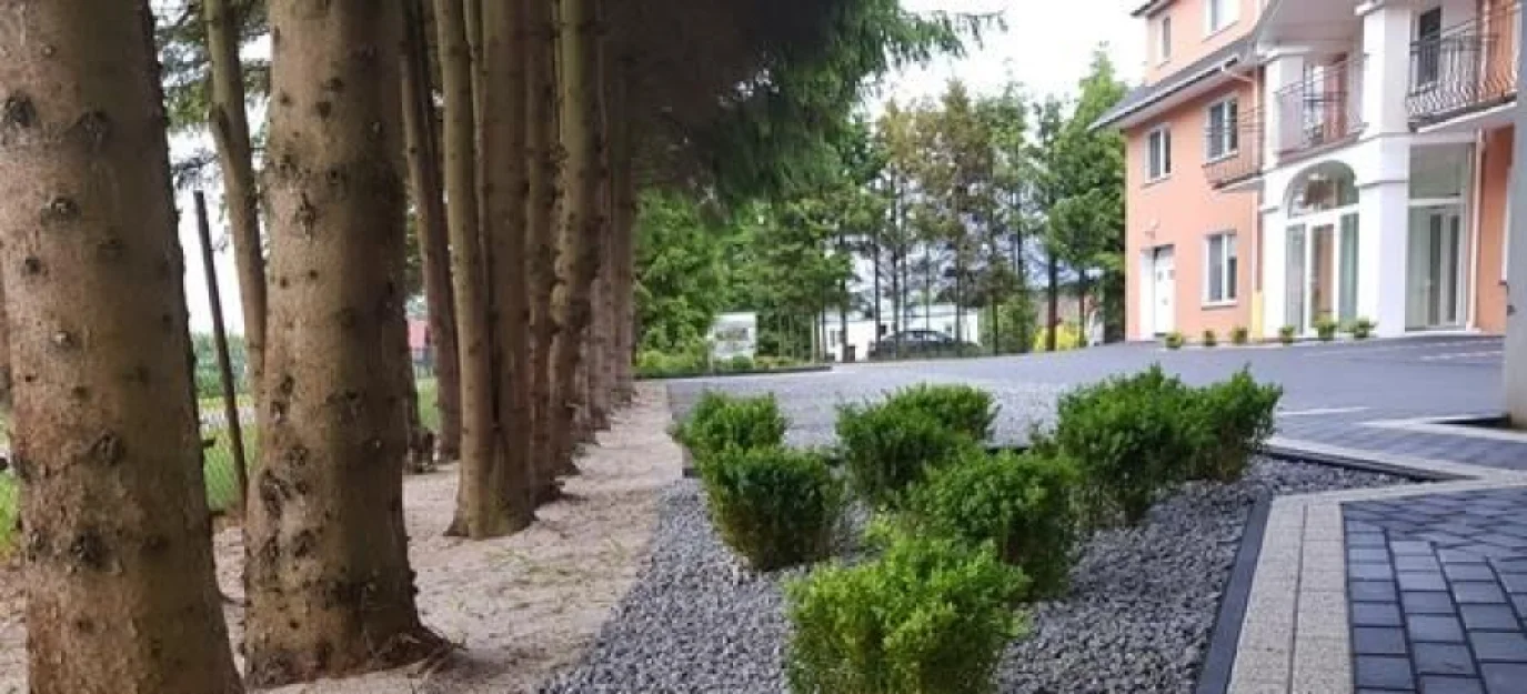 Zdjęcie Sonata Mielenko #41