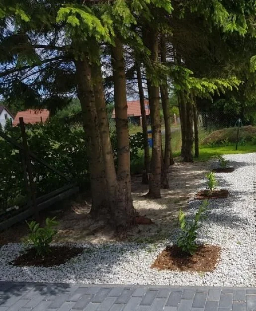 Zdjęcie Sonata Mielenko #45