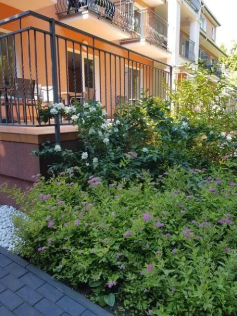 Zdjęcie Sonata Mielenko #52