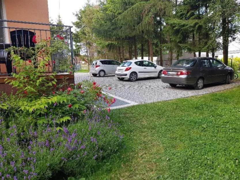 Zdjęcie Sonata Mielenko #58