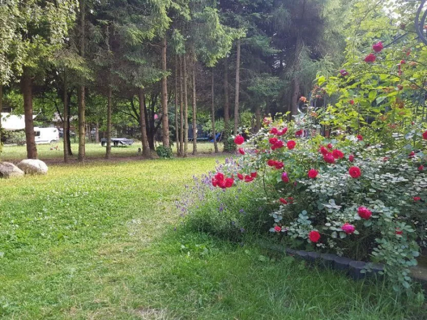 Zdjęcie Sonata Mielenko #60