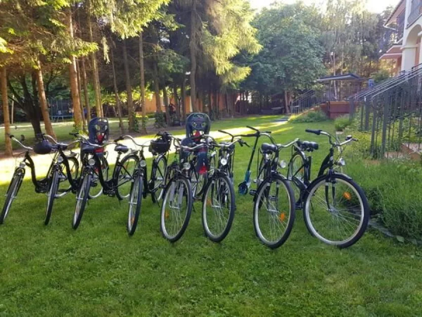 Zdjęcie Sonata Mielenko #98