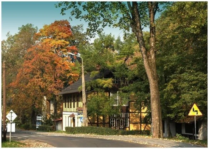 Zdjęcie Villa Barbara Centrum Zdrowia I Rehabilitacji #19