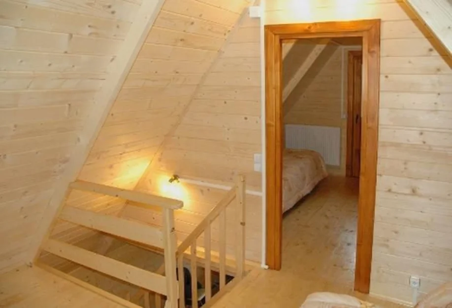 Zdjęcie Fickoland #5