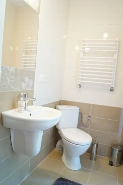 Zdjęcie Pokoje Gościnne w Szczawniku #8