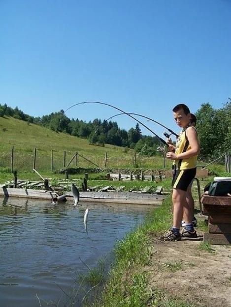 Zdjęcie Villa Orlik #5