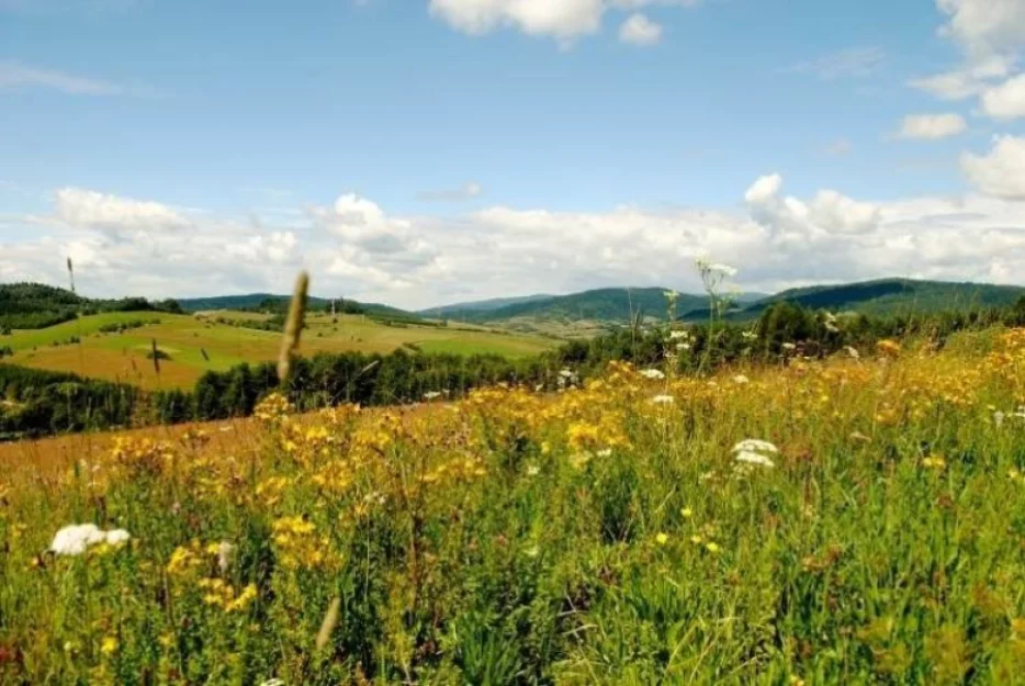 Zdjęcie Pokoje Gościnne #7