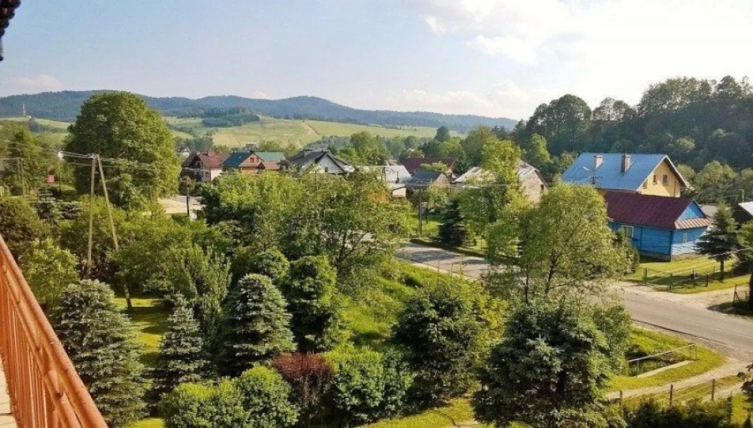 Zdjęcie Stokrotka #3