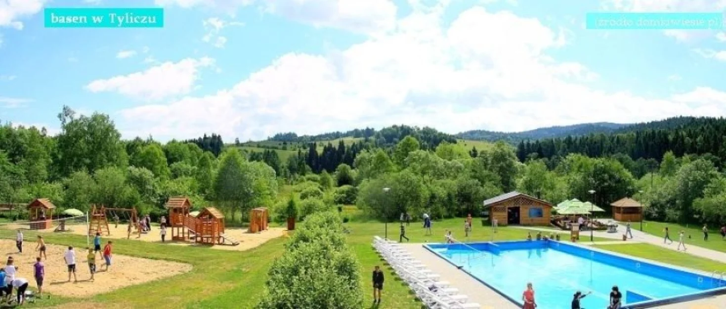 Zdjęcie Stokrotka #4